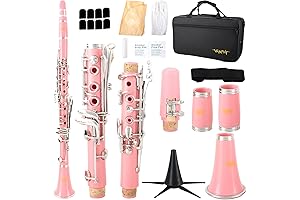 Enticing Pink Clarinet: A Symphony for Beginners and Students
