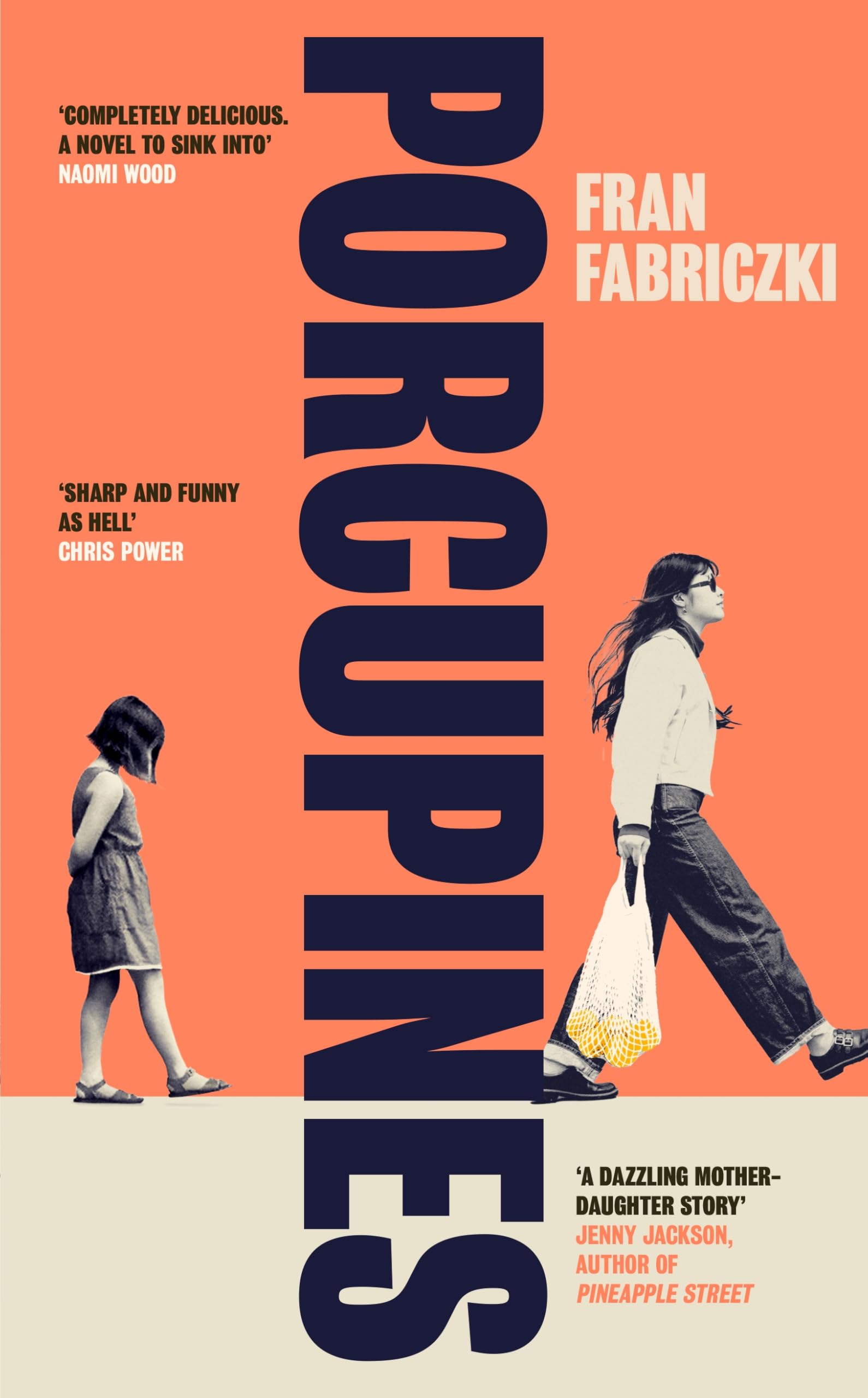 Porcupines by Fran Fabriczki (Hardback Book)