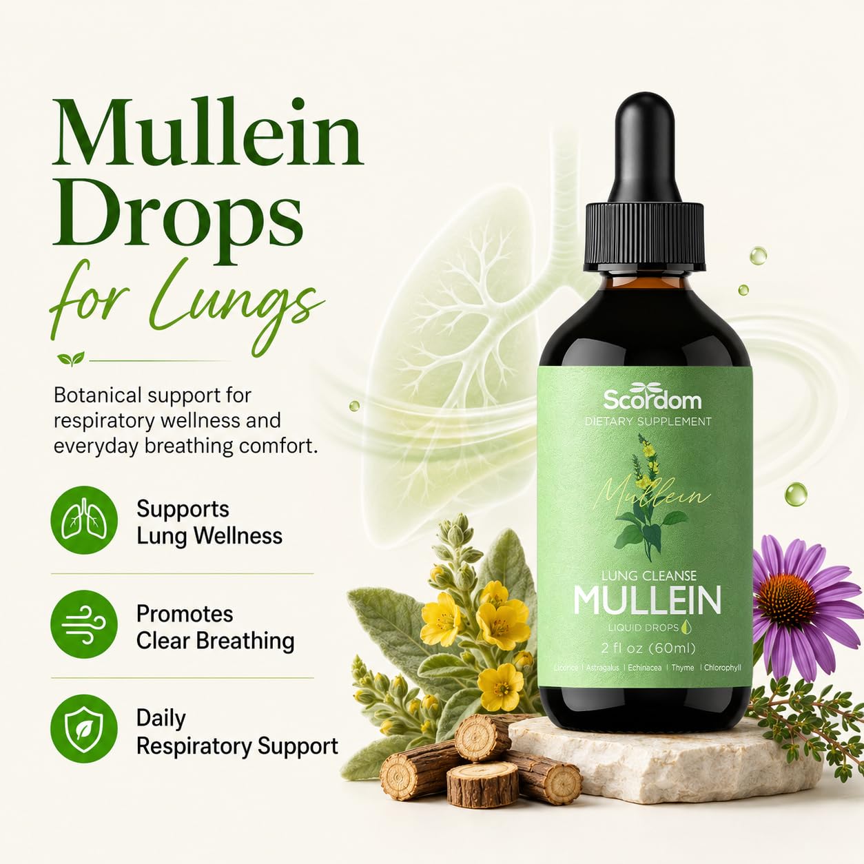 Mullein Drops for Lungs Cleanse & Detox, 6 in 1 - Mullein Leaf Tincture with Licorice, Astragalus, Echinacea, Thyme, Chlorophyll, Supports Respiratory Health, 2 fl oz | 60 ml - 1 Month Supply — Amazon image 2