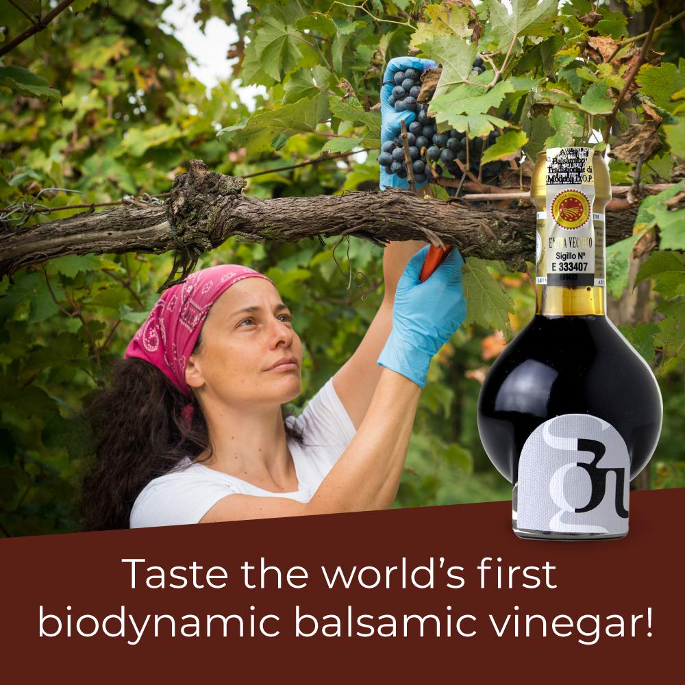 Aceto Balsamico Tradizionale di Modena dop – Extravecchio – invecchiato almeno 24 anni - Biologico, Biodinamico (Demeter), Vegano, Vegetariano, senza OGM – Confezione1 Bottiglia da 100 ml