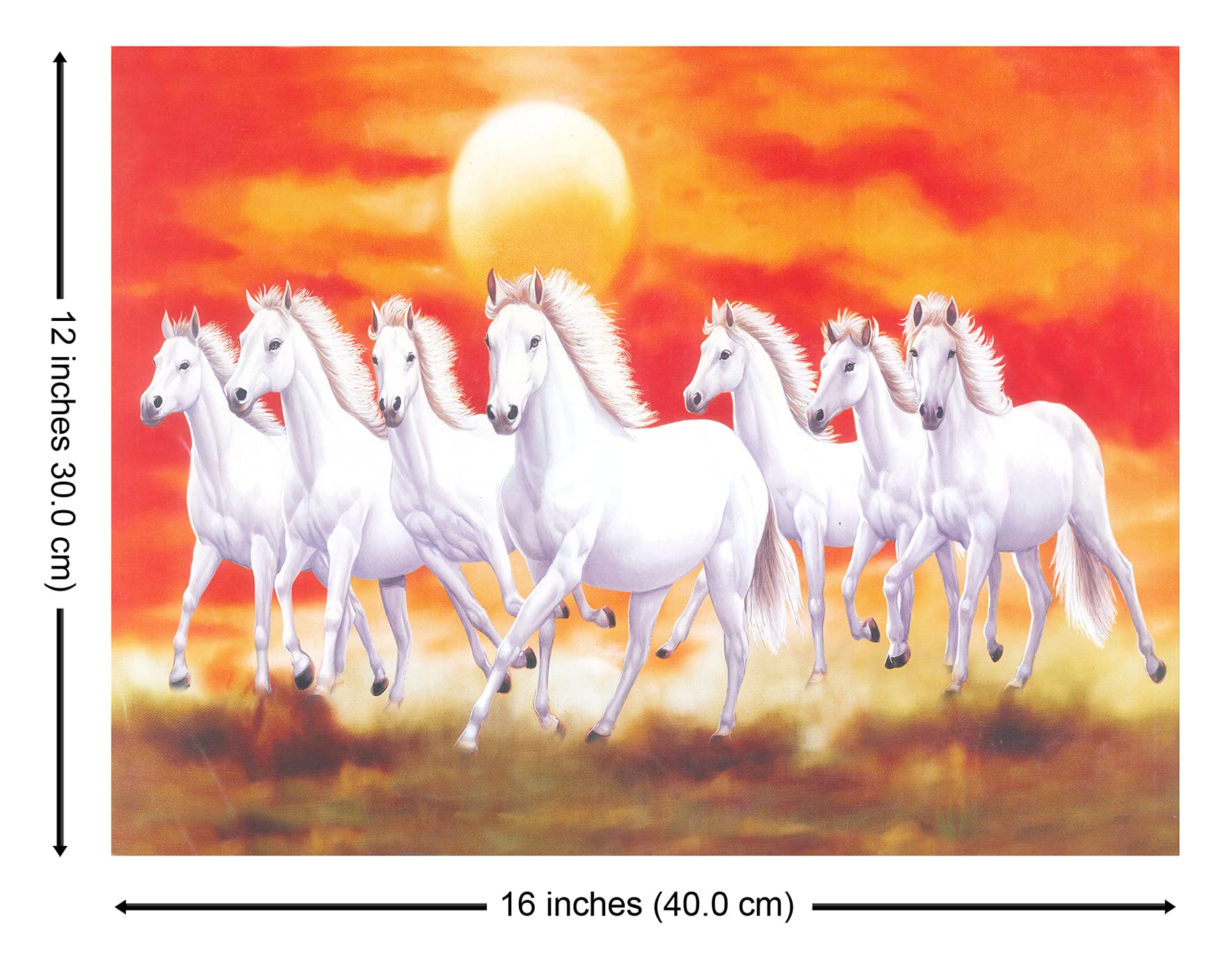 Amazon.com: Seven 7 white galloping and running white horses