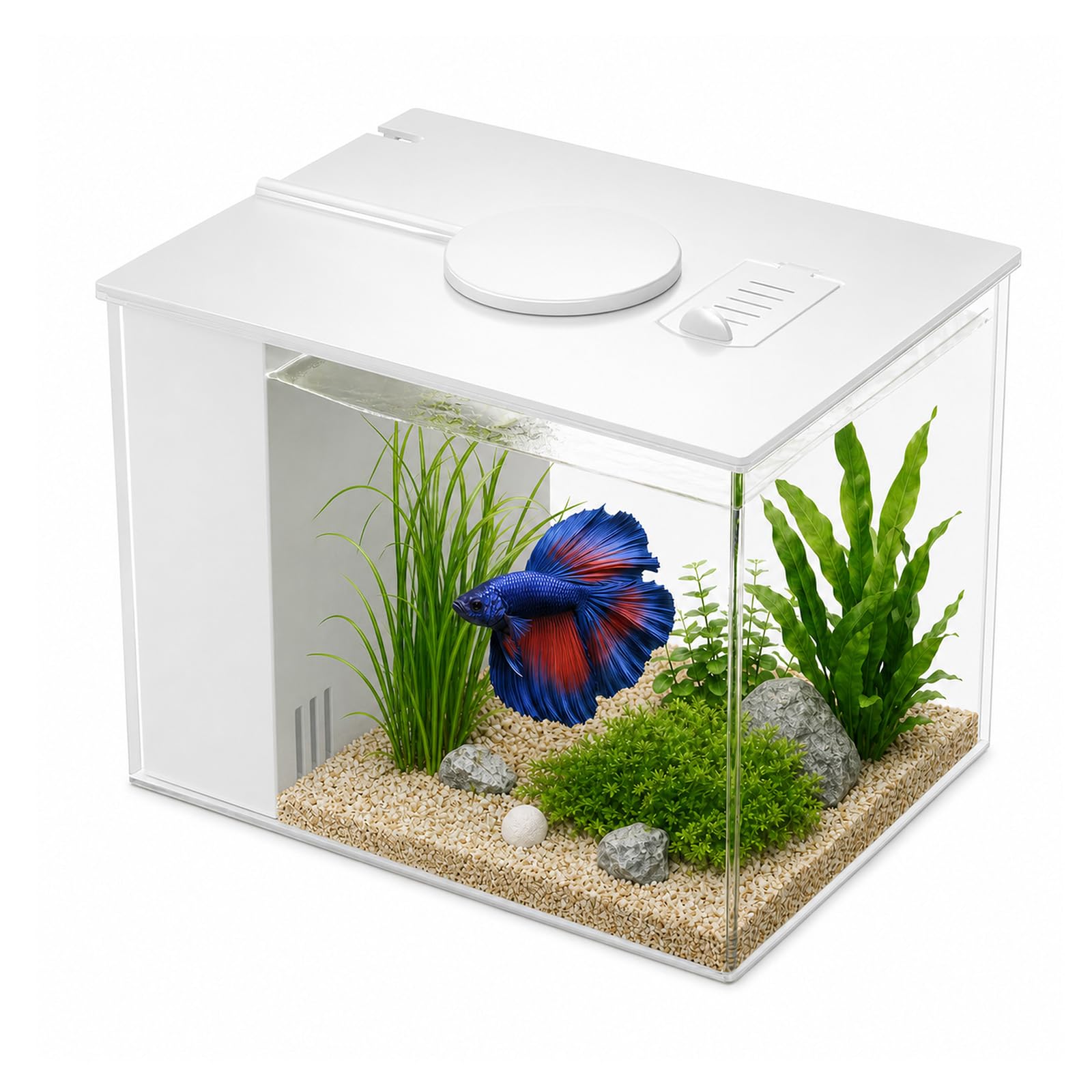 Kit complet d'aquarium de 3,7 l, petit aquarium de table, nano aquarium autonettoyant avec lumières LED et système de filtration, idéal pour les petits poissons, crevettes et plantes (blanc)
