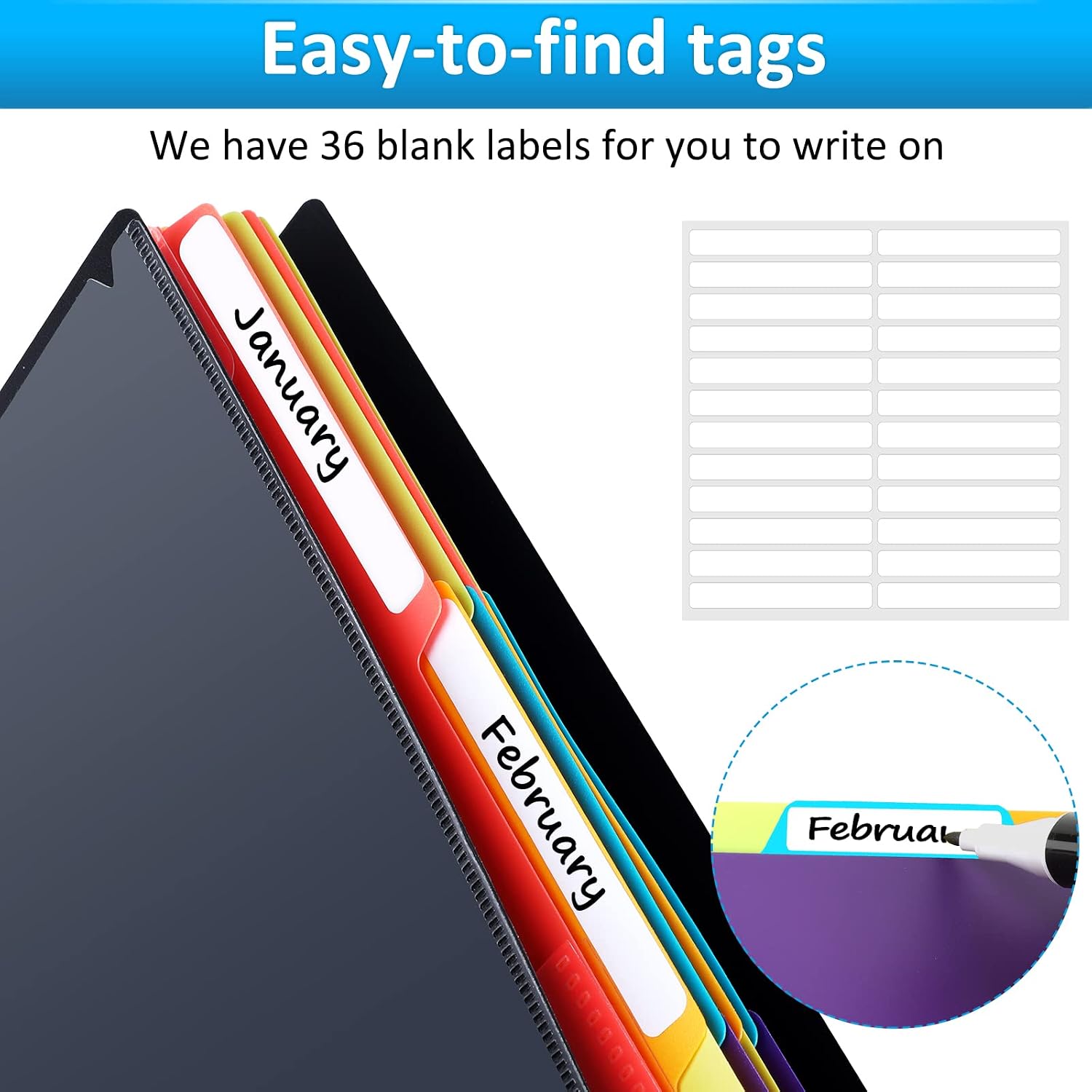 Organize in Style: A Review of 24 Pocket Plastic Folders with Colorful Dividers