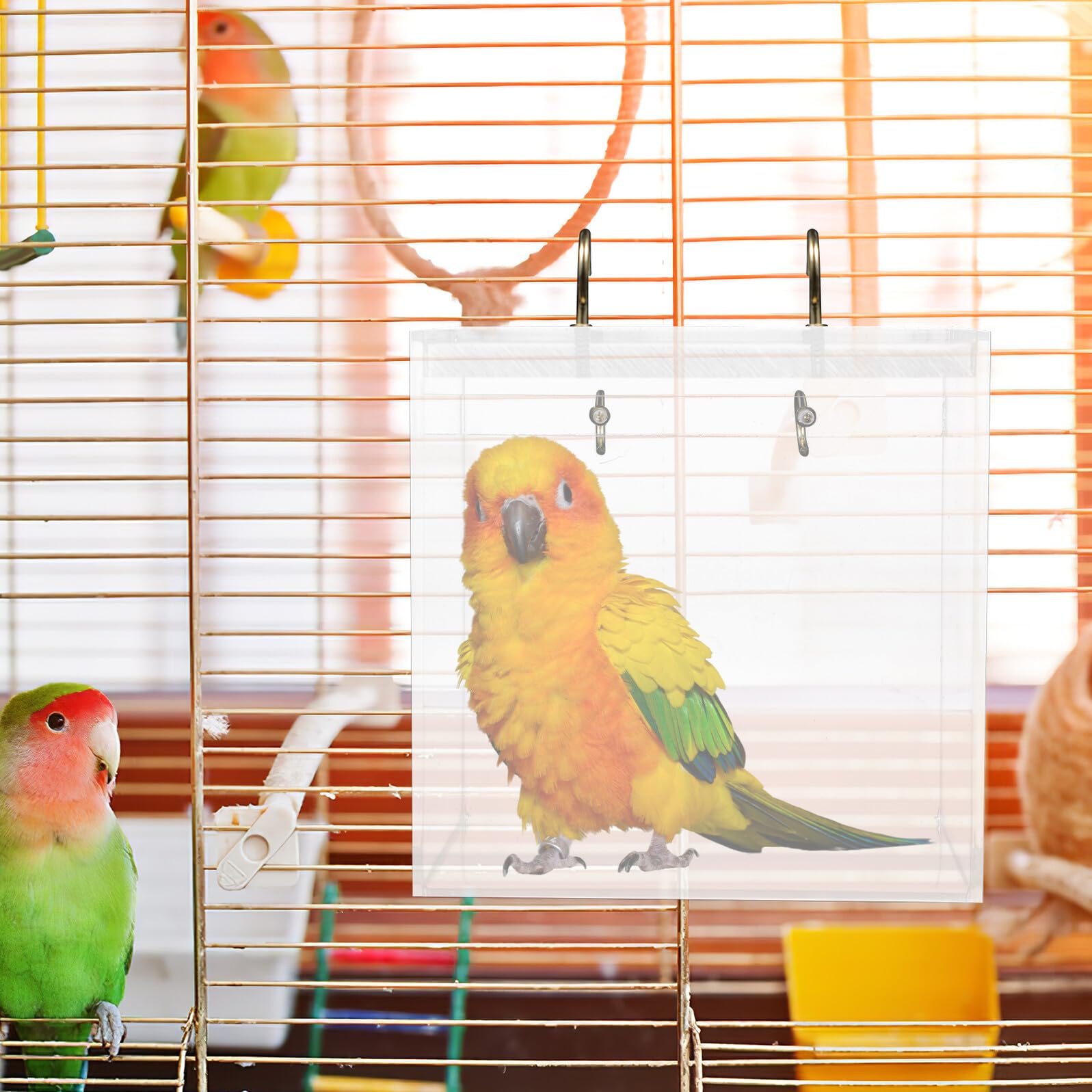 Vogelbad Acryl Klein zum Aufhängen Vogeltränke für Käfig Parrot Wellensittich Badebox Stresslösend und Leicht zu Reinigen Geeignet für Kanarienvögel und Kleine Vögel