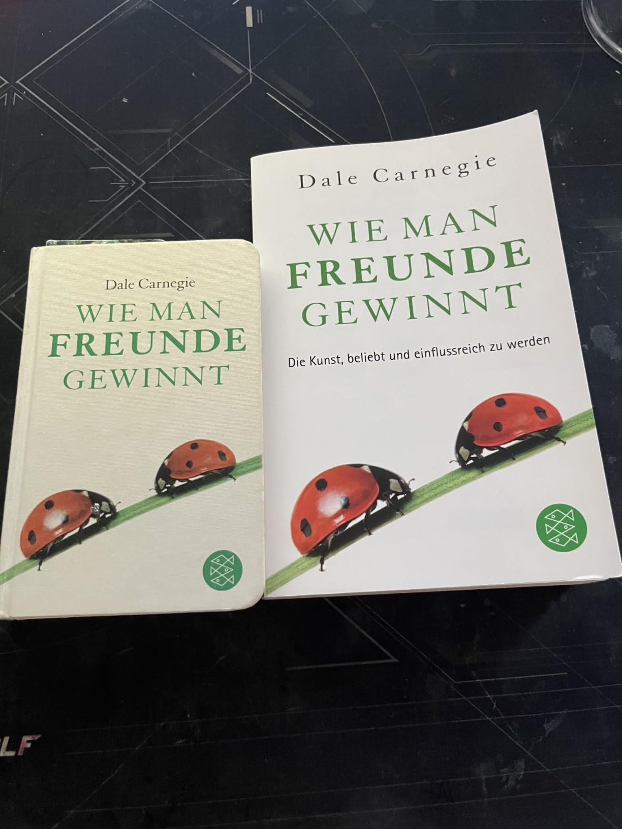 Wie man Freunde gewinnt Das einzige Buch, das du brauchst, um beliebt und einflussreich zu sein
