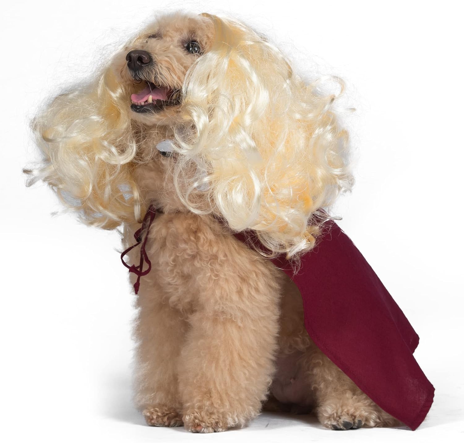 Disney for Pets Hocus Pocus Sarah Sanderson Dog Costume