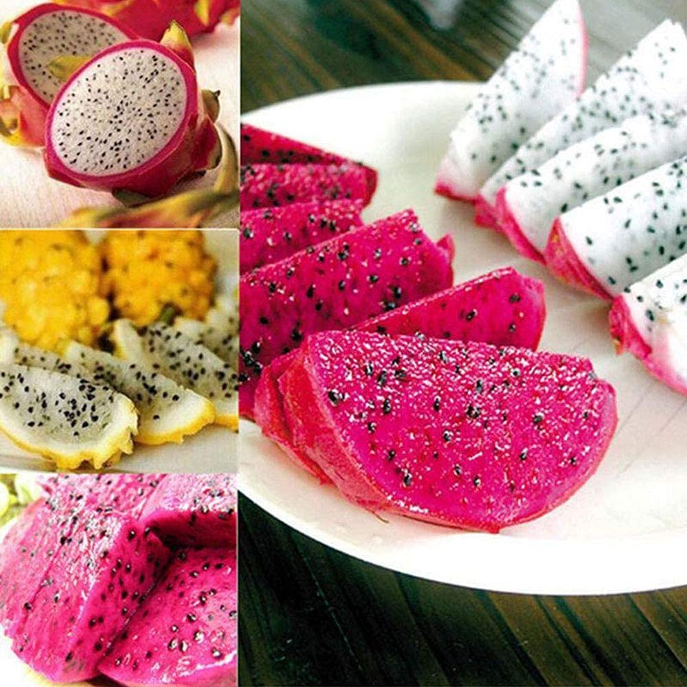 100pcs Pitaya Seeds Dragon Fruit with Plump Flesh Perennial Climbing Succulent Essential Fruit in The Kitchen Tender and Juicy Deliciously Sweet