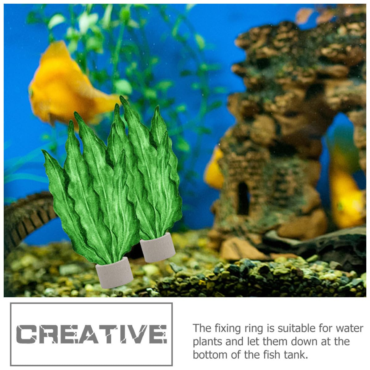 12stücke Teiliges Aquarium Pflanzenbefestigungs Ring aus Robustem Keramikmaterial Anti schwebend Langlebig und Praktisch für Kleine Aquarienlandschaften und