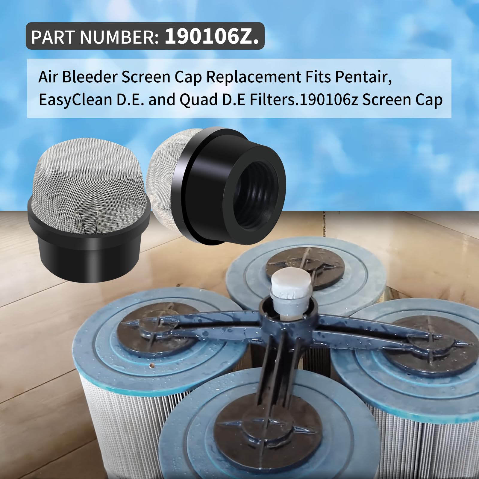 190106Z Stainless Steel Air Bleeder Screen Caps Fits Pentair D.E Filters — Amazon image 2