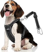 Vista 8 de cinturón de seguridad para perro, arnés de coche con hebilla ajustable para perro, cinturón de seguridad de nailon para mascotas, resistente