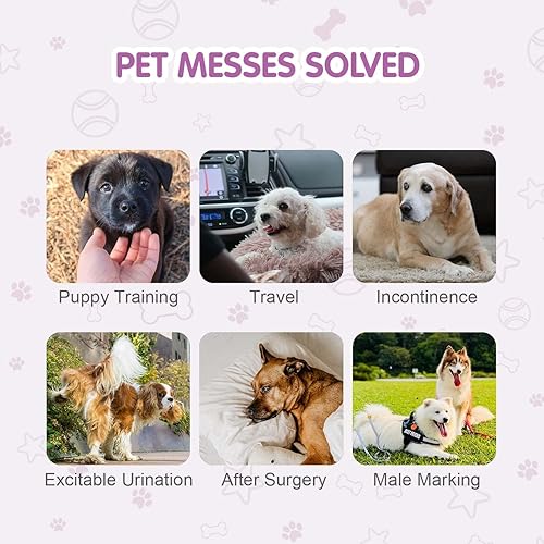 Miniatura 7 de COCOYO Pañales desechables para perras, pañales para perras, pañales para cachorros, súper absorbentes, transpirables, indicador de humedad (L, 60)