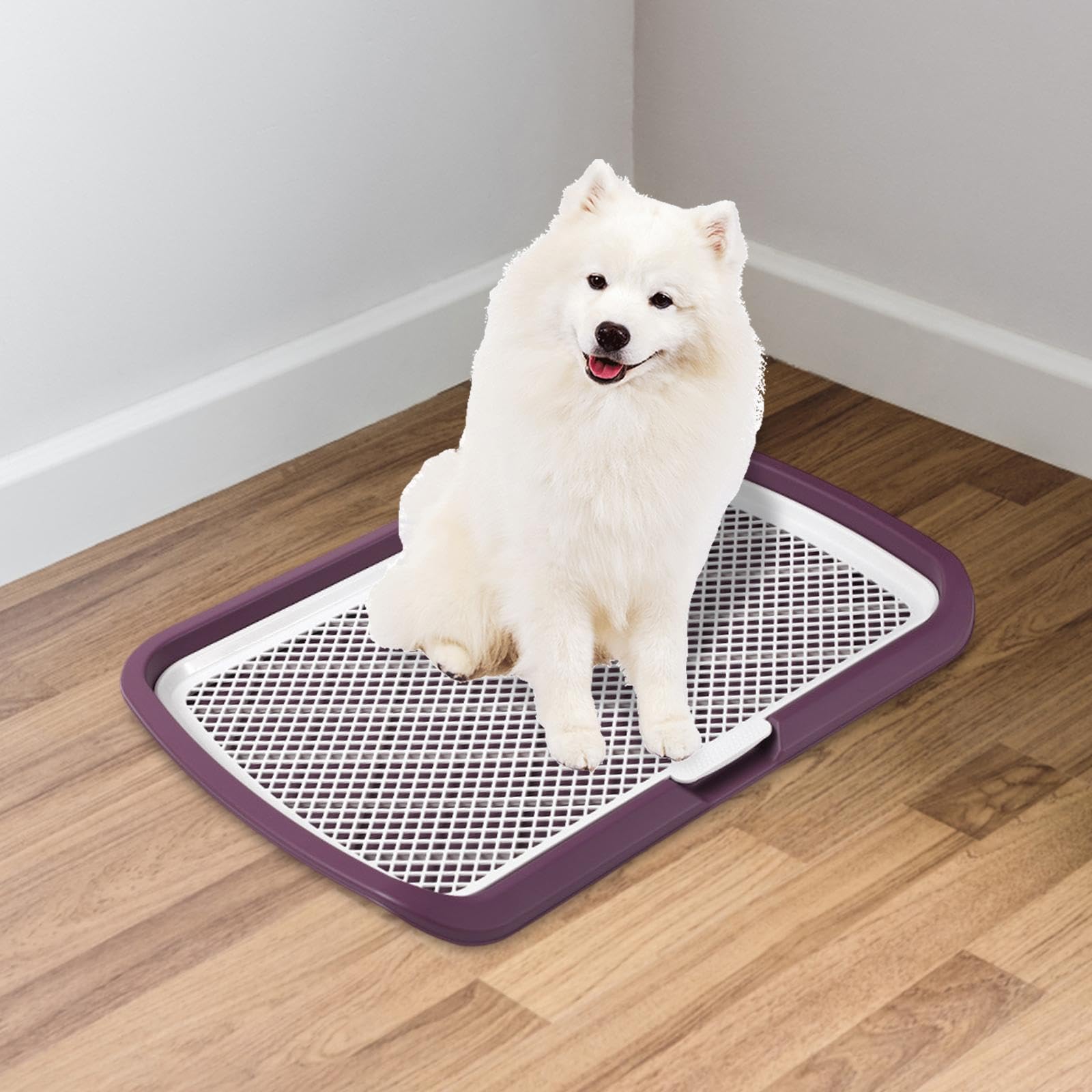 Generic Dog Potty Tray Indoor,Easy to Clean,Sturdy,Reusable Dog Potty Pan Training Toilet,Pee Pad Holder for Dogs Doggy Puppy, Purple