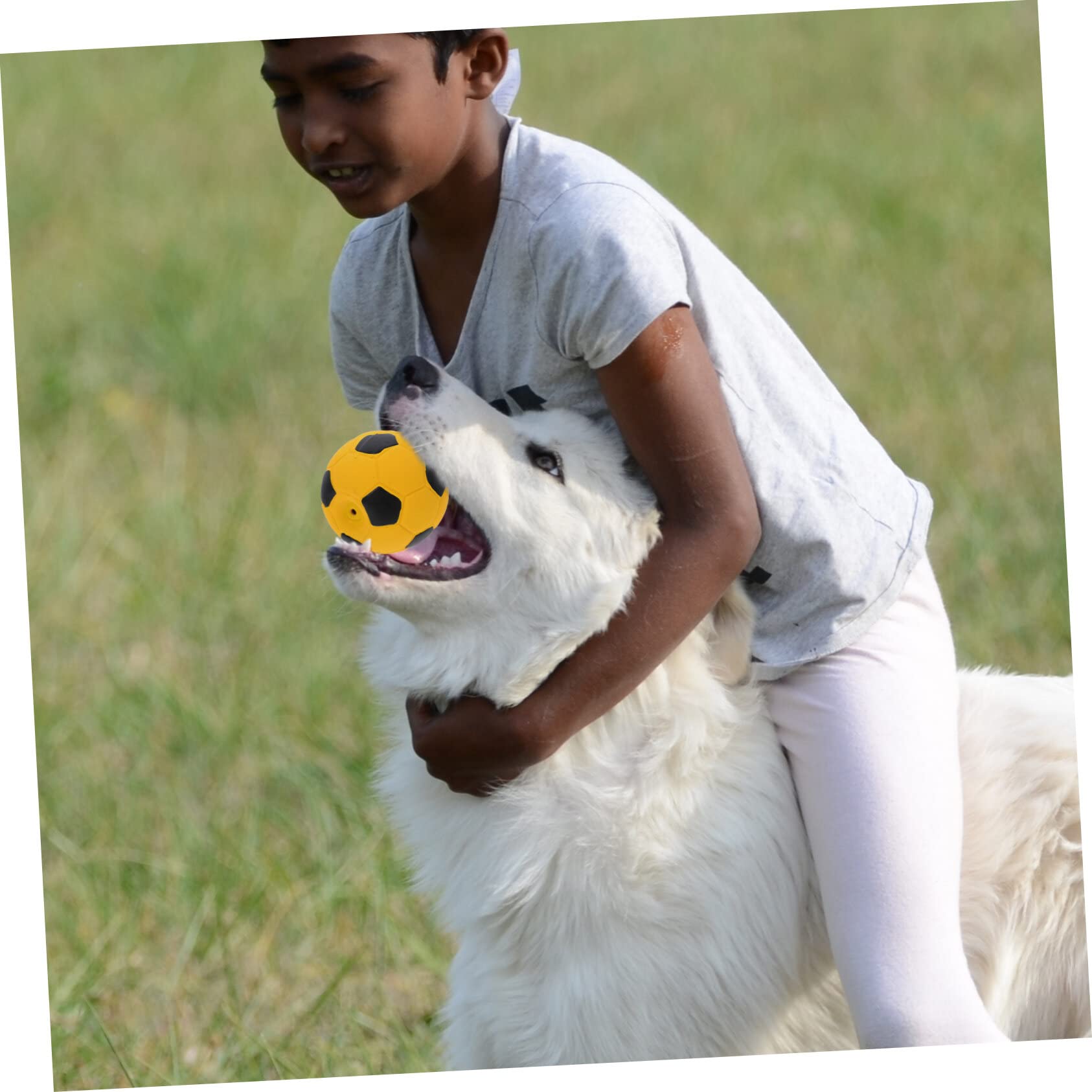 Mipcase 12stücke Interaktive Spielzeuge Für Hunde Weiche Molar-funktionale Fußball-kauspielzeuge Quietscher Für Welpen Und Aktive Spielzeiten