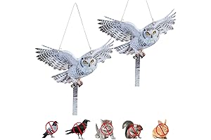 Owl Decoy Hanging