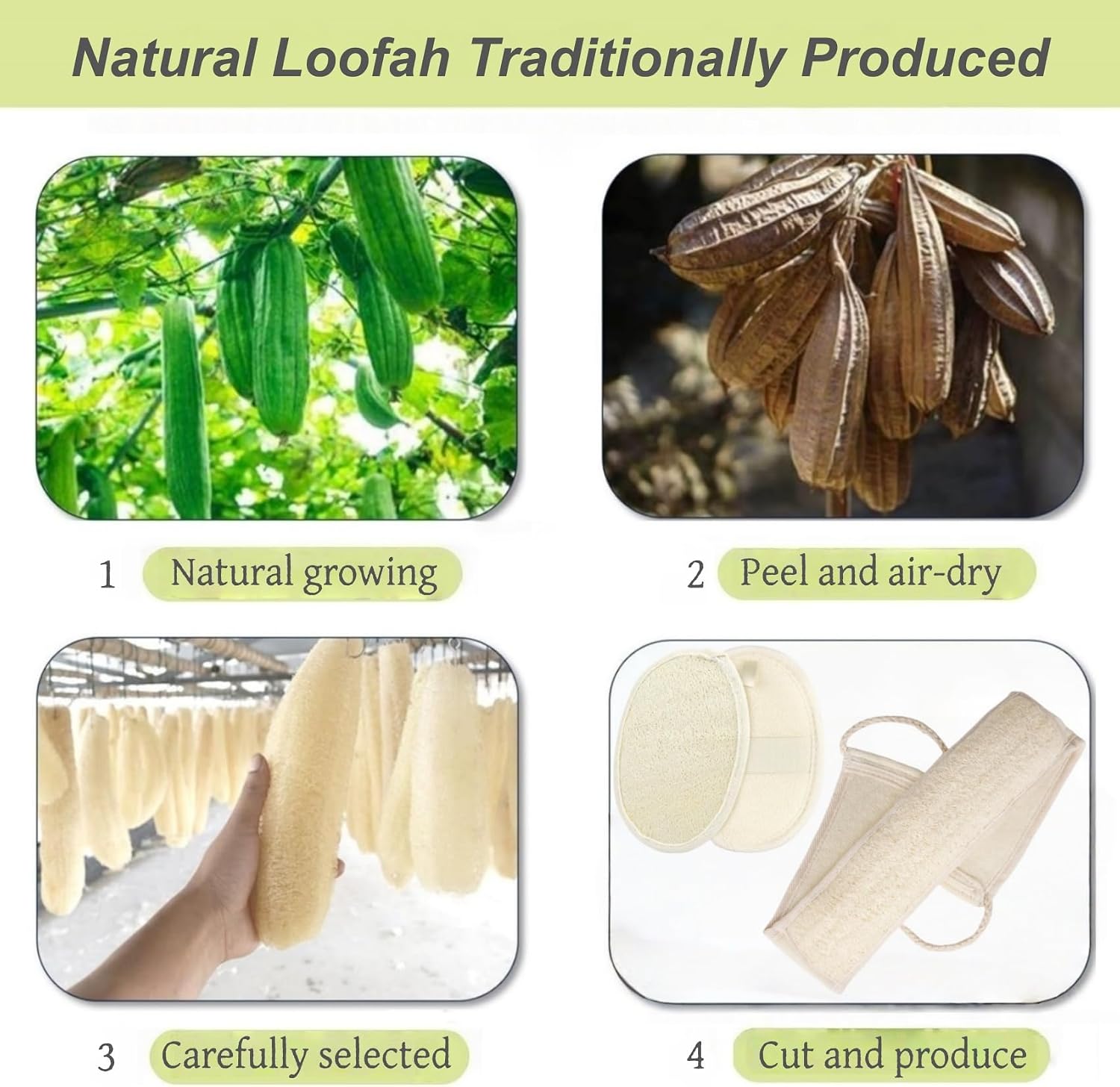 Natural Loofah Exfoliating Body Scrubber, 2-Piece Bath Set | Includes Loofah Back Scrubber + Loofah Sponge, Shower Loofah Scrubber for Men & Women, to Clean Body Deeply, Invigorate Skin