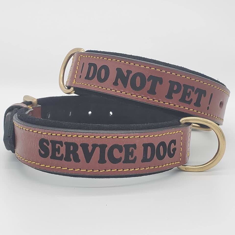 dog collar with name
