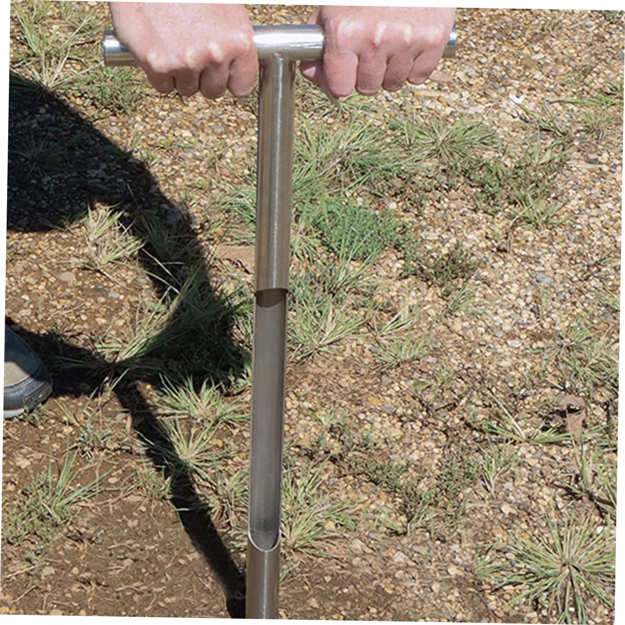Gatuida Muestreador de Suelo Acero Inoxidable 31x15 Cm para Jardinería Profesional Sonda de Muestreo T Ergonómica Herramienta para Prueba de Suelo y Cuidado de Césped