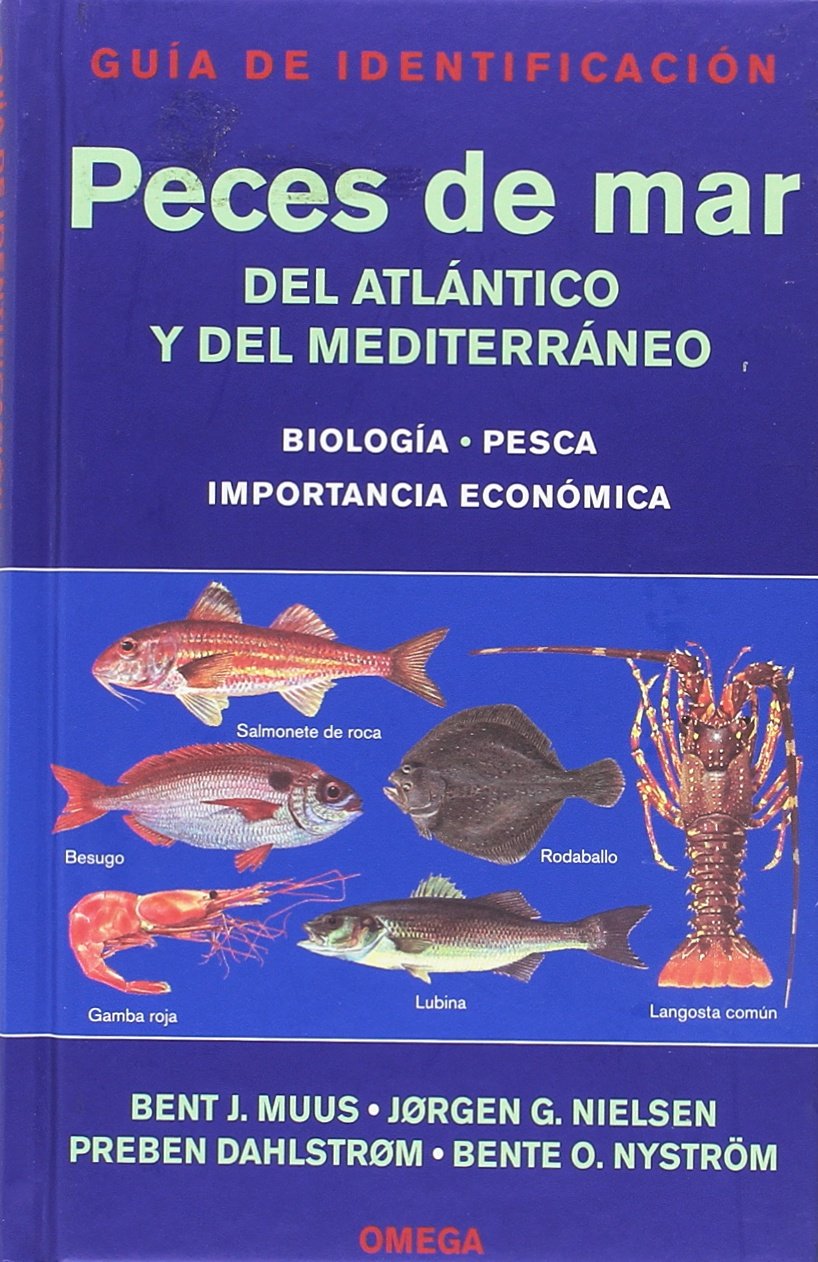 PECES DE MAR. GUIA DE IDENTIFICACION (GUIAS DEL NATURALISTA-PECES-MOLUSCOS-BIOLOGIA MARINA)