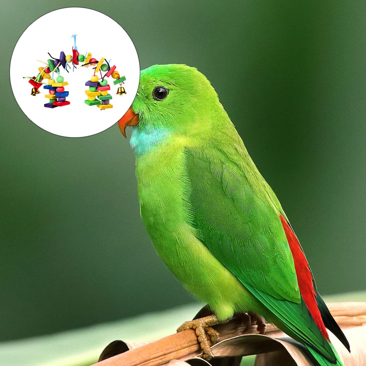 POPETPOP 3pièces Jouet à Mordre Bois pour Oiseaux Jouet Coloré pour Perroquets Et Oiseaux à Mâcher Accessoire De Jeu pour Animaux De Compagnie