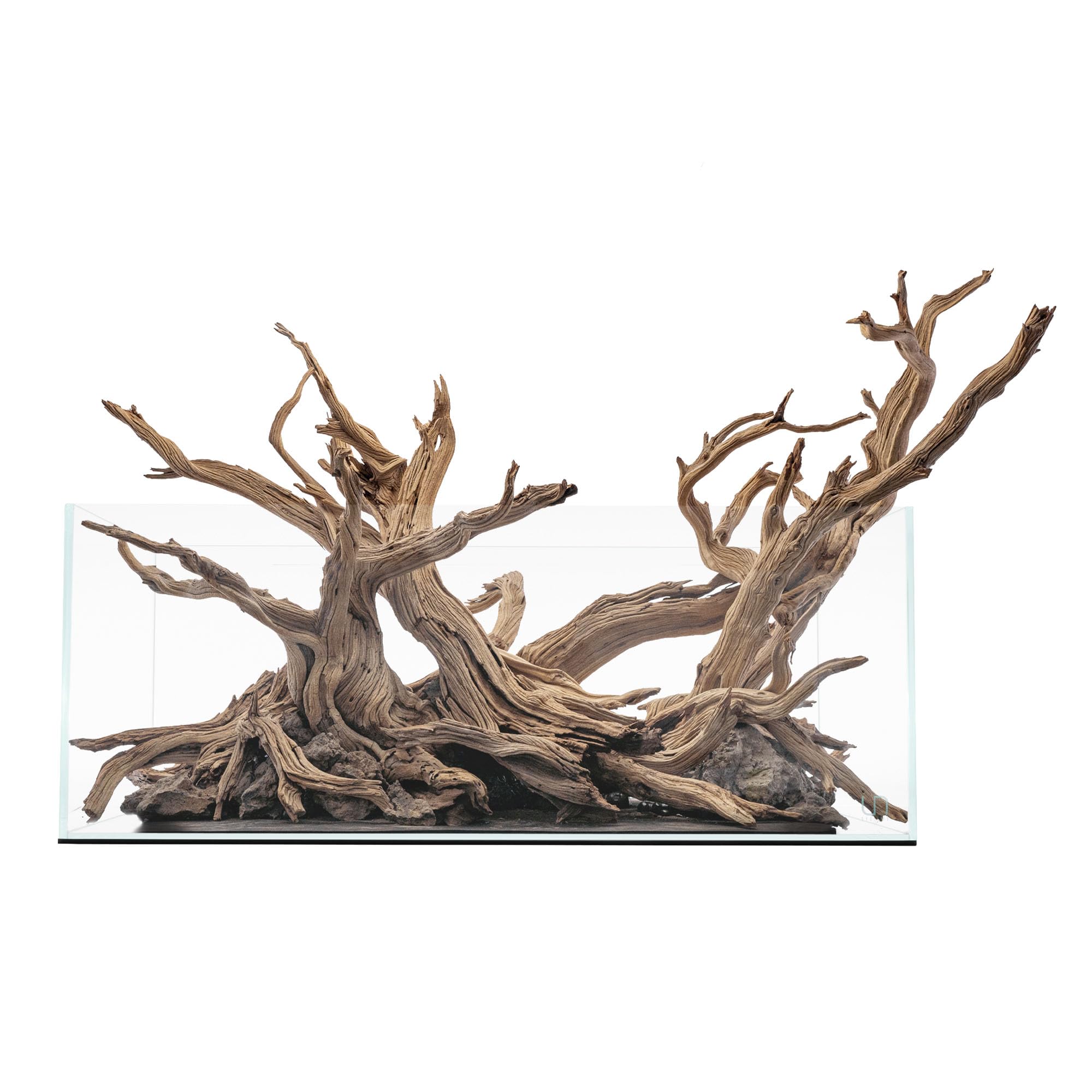 Ultum Nature Systems Ultra Clear Rimless Aquarium - Low Iron Glass Fish Tank with 45° Mitered Edges, 5mm-12mm Thick, Leveling Mat Included (25S, Shallow, 2 Gallon)