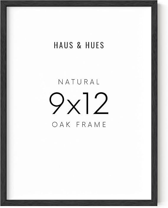 HAUS AND HUES 9x12 Picture Frame 9x12 Frame Black