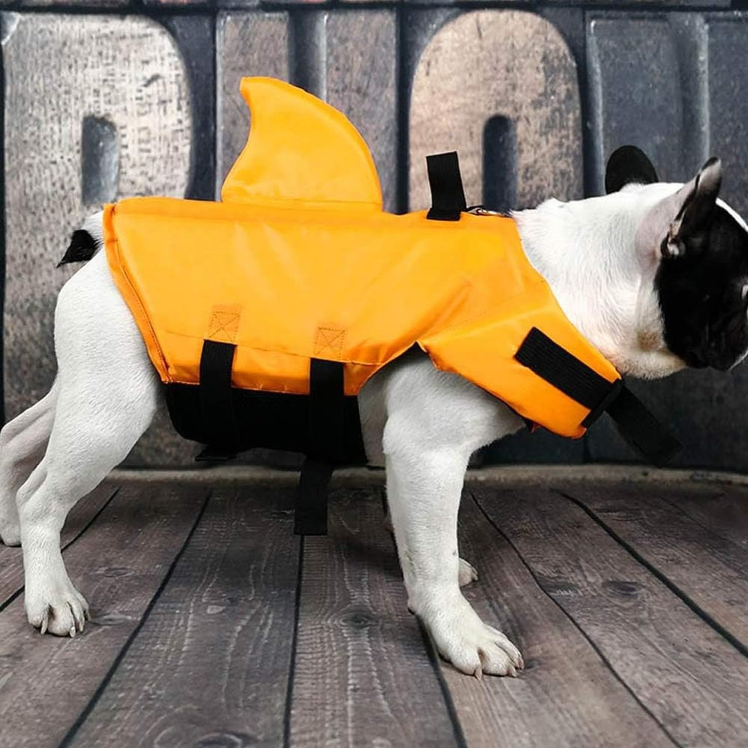 Chaleco Salvavidas para Perros, Flotador de Mascotas de Ripstop, Vestido de Baño de Seguridad Acuática para Perros Pequeños, Medianos y Grandes, para Piscina, P, Orange, XXL