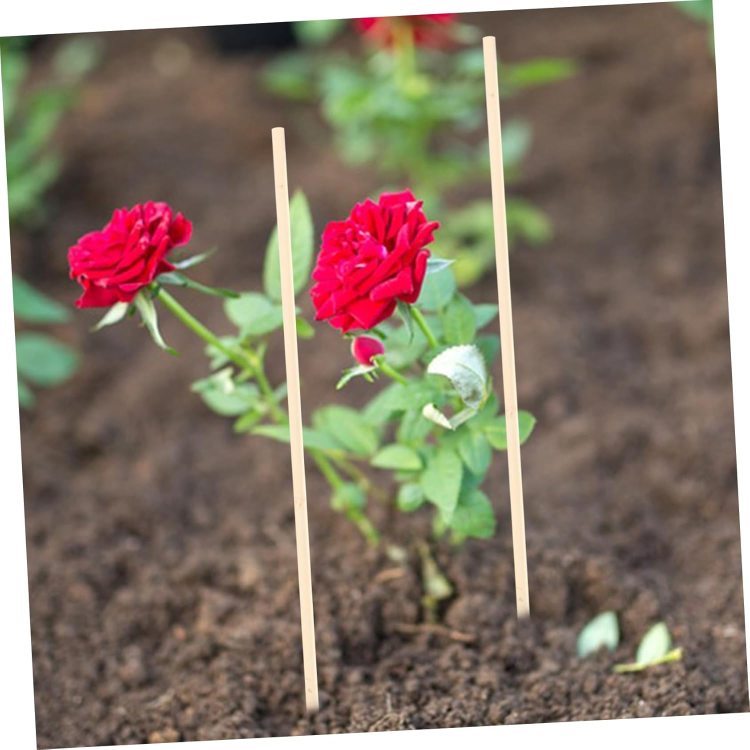 4sets 20pcs Garden Plant Support Sticks Durable Climbing Sticks for Vines Growth Aid for Flowering Plants Vegetables for Garden Supplies 20pcs*4