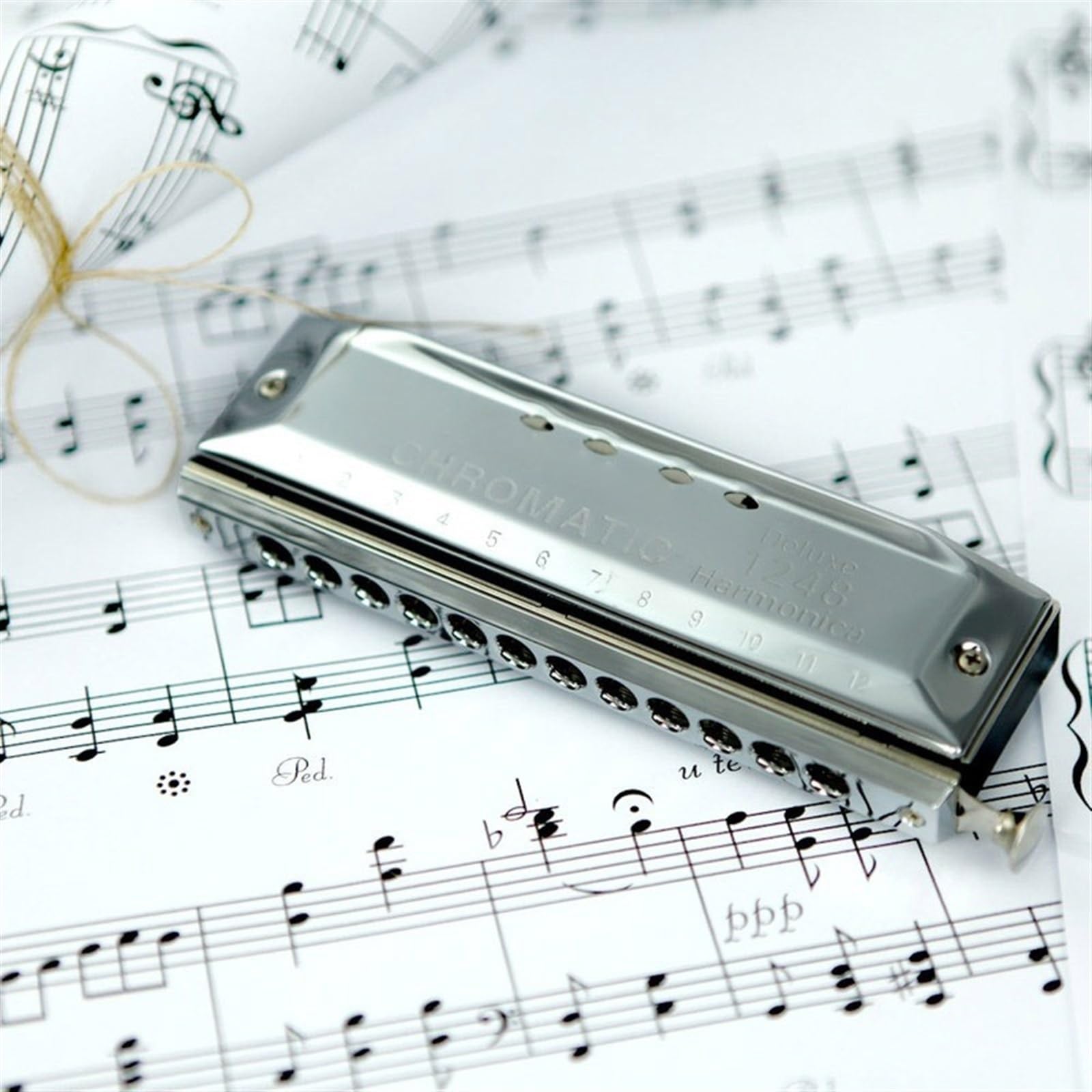 Armonica Cromatica A 12 Fori 48 Tone C Key Harmonica Strumento Musicale A Fiato Con Custodia Armonica Strumento Musicale