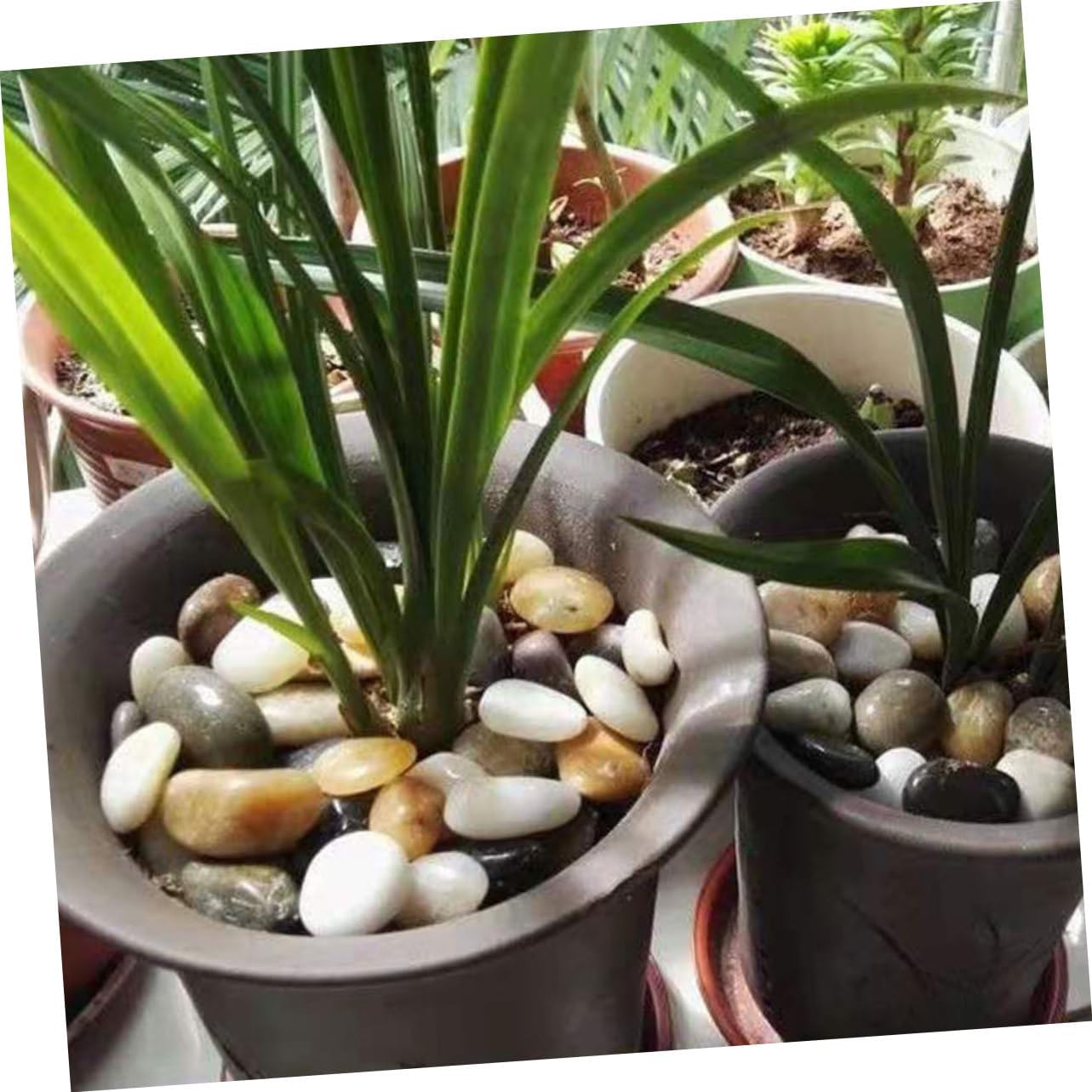 Aquarium Stones Decorative Pebbles for Vase Small Rocks for Plant Pots