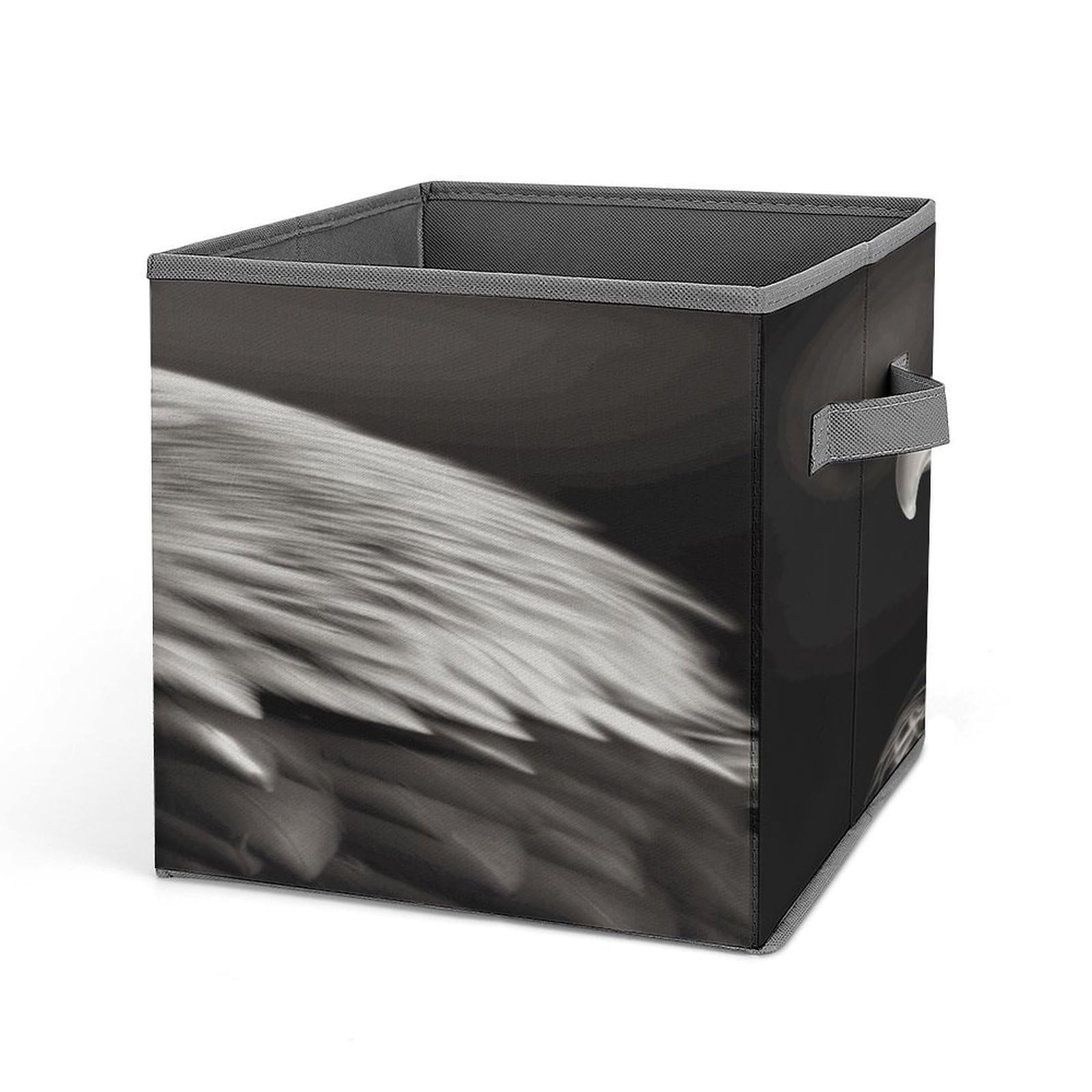 Fodpand Style Eagle Black And White Storage Cubes Foldable Decorative Fabric, Storage Bins Baskets With Handles, Closet Organizers And Storage For Home, Office,Closet, Clothes