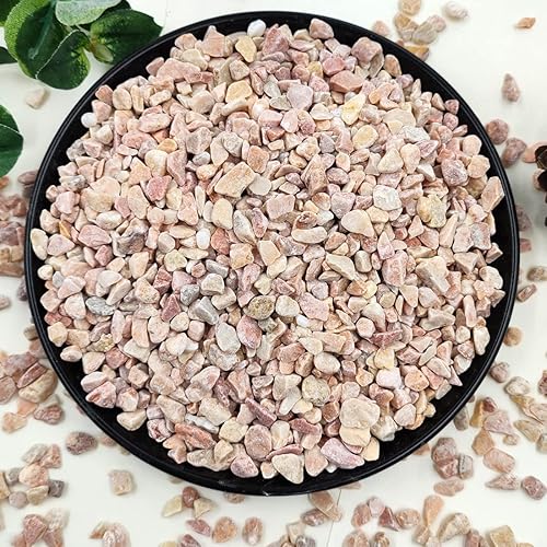 Miniatura 20 de Grava para suculentas y cactus de 10 libras, guijarros pulidos decorativos naturales de 1/5 pulgadas para paisajismo, rocas de río gris