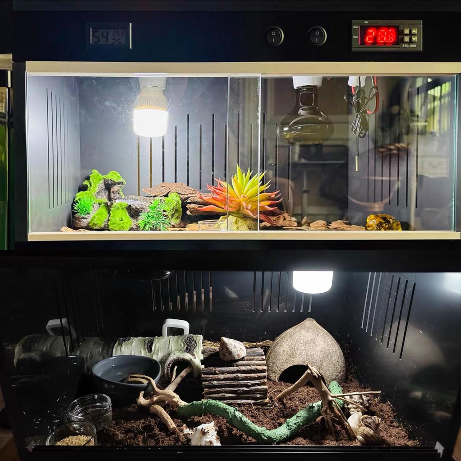 Reptile Terrarium Tanks Enclosure Intelligent Bearded Dragon Tank with Temperature Controller Intelligent Thermostat for Ball Python Snake Gecko Bearded Dragon (S-10Gallon, 16 * 12 * 12in)