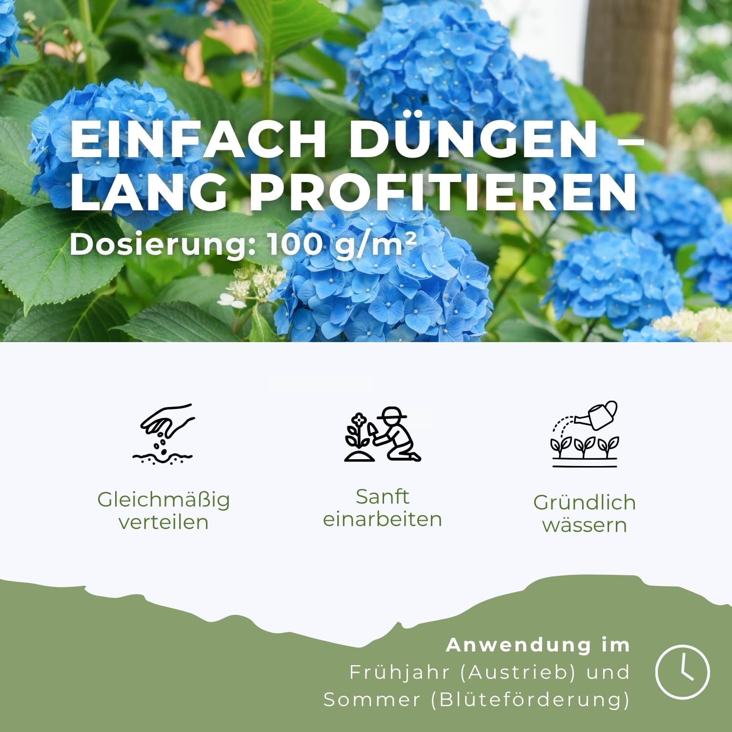 Flora Boost PRO Hortensien Dünger 5 kg I Langzeitdünger NPK 8-5-5 für Bauern-, Rispen- & Tellerhortensien I Granulat für üppige Blüten, kräftiges Wachstum & gesunde Pflanzen