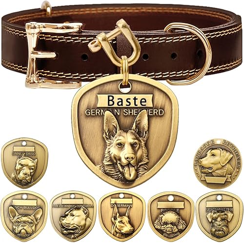 ZQDJ Collar de perro de cuero genuino+juego de placa de perro Doberman en relieve 3D