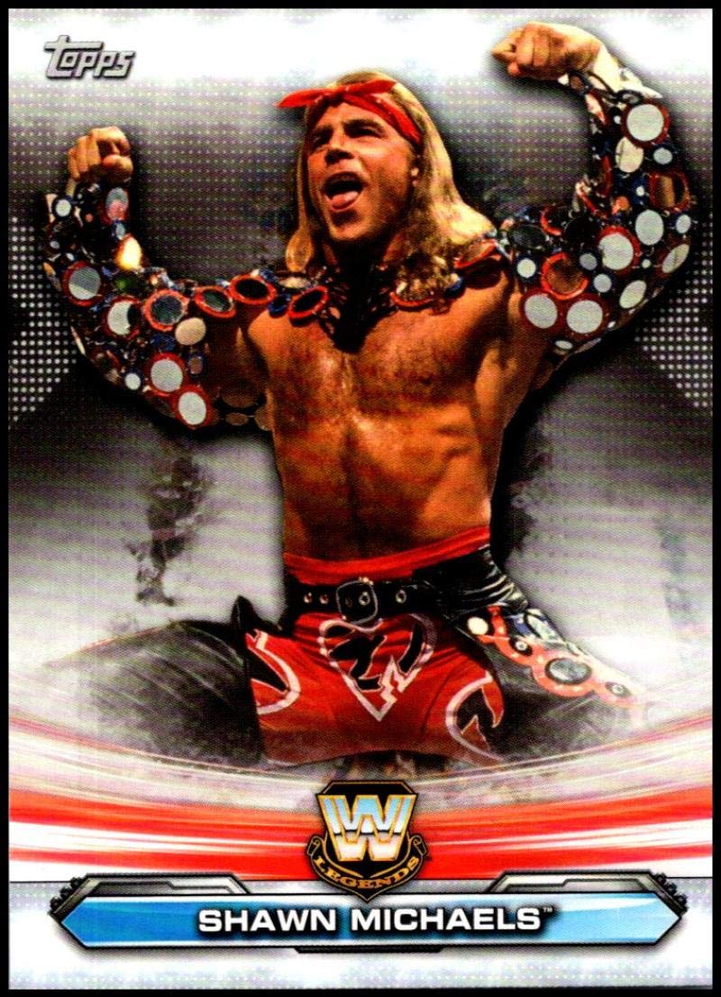 Amazon.com: 2019 Topps WWE Raw Legends of Raw #LR-16 Shawn
