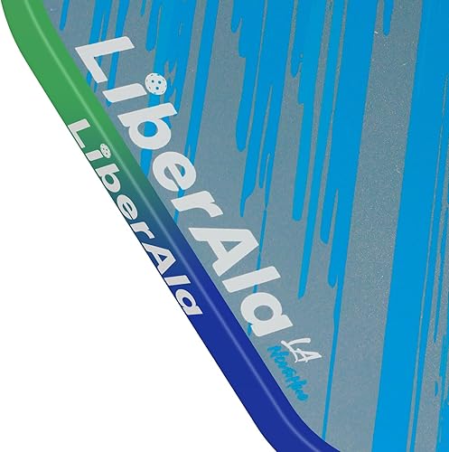 Miniatura 7 de Pickleball Paddles & Set of 2, USAPA Approved Carbon Fiber Pickle Ball Paddle, PP Honeycomb Core, Lightweight & Comfort Grip for Beginners, Pros,