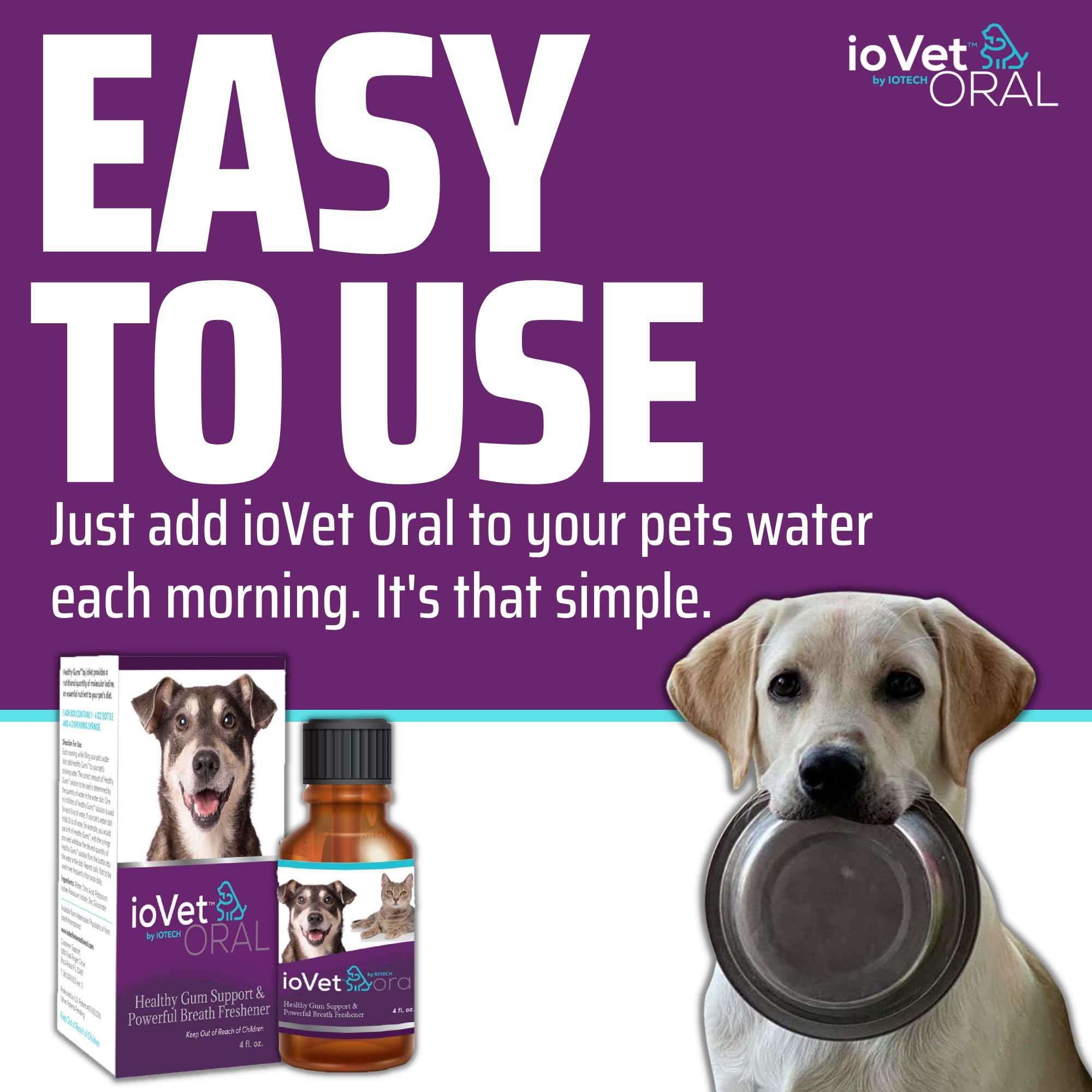 Can I Put Iodine On My Dog