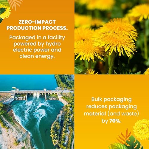 Miniatura 5 de Cederberg Tea Company Té orgánico de raíz de diente de león, 30 bolsas de té, té de hierbas orgánicas de origen único, bolsas de té ecológicas, té