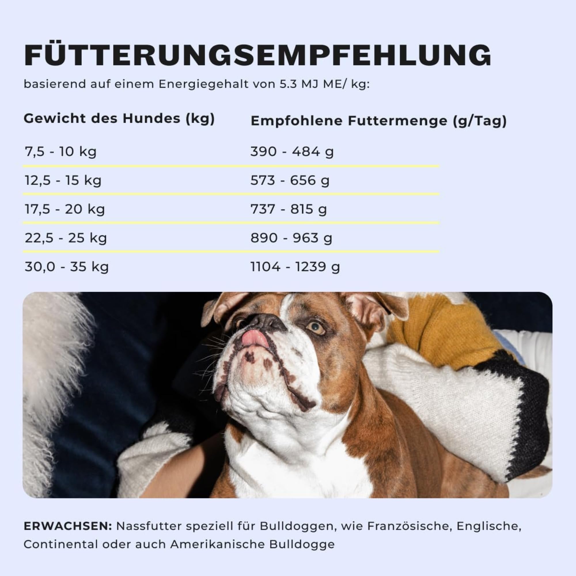 HEY HOLY Premium Nassfutter für Bulldoggen | 6X 750g Hundefutter für ausgewachsene Bulldoggen mit Lachs | Hochverträglich aus natürlichen Zutaten