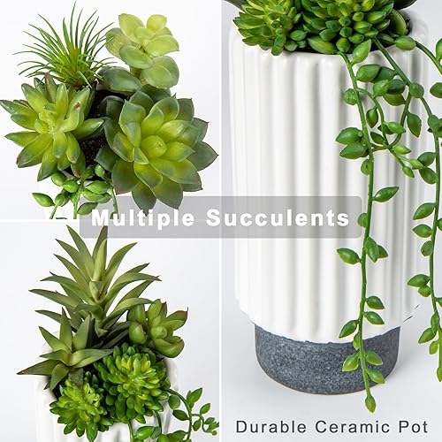 Miniatura 2 de Hollyone Juego de 2 plantas suculentas artificiales de 9 pulgadas, plantas suculentas falsas en maceta de cerámica, plantas suculentas para