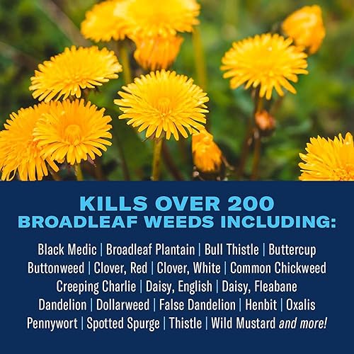 Miniatura 8 de BioAdvanced Herbicidas para césped listo para rociar 32 onzas