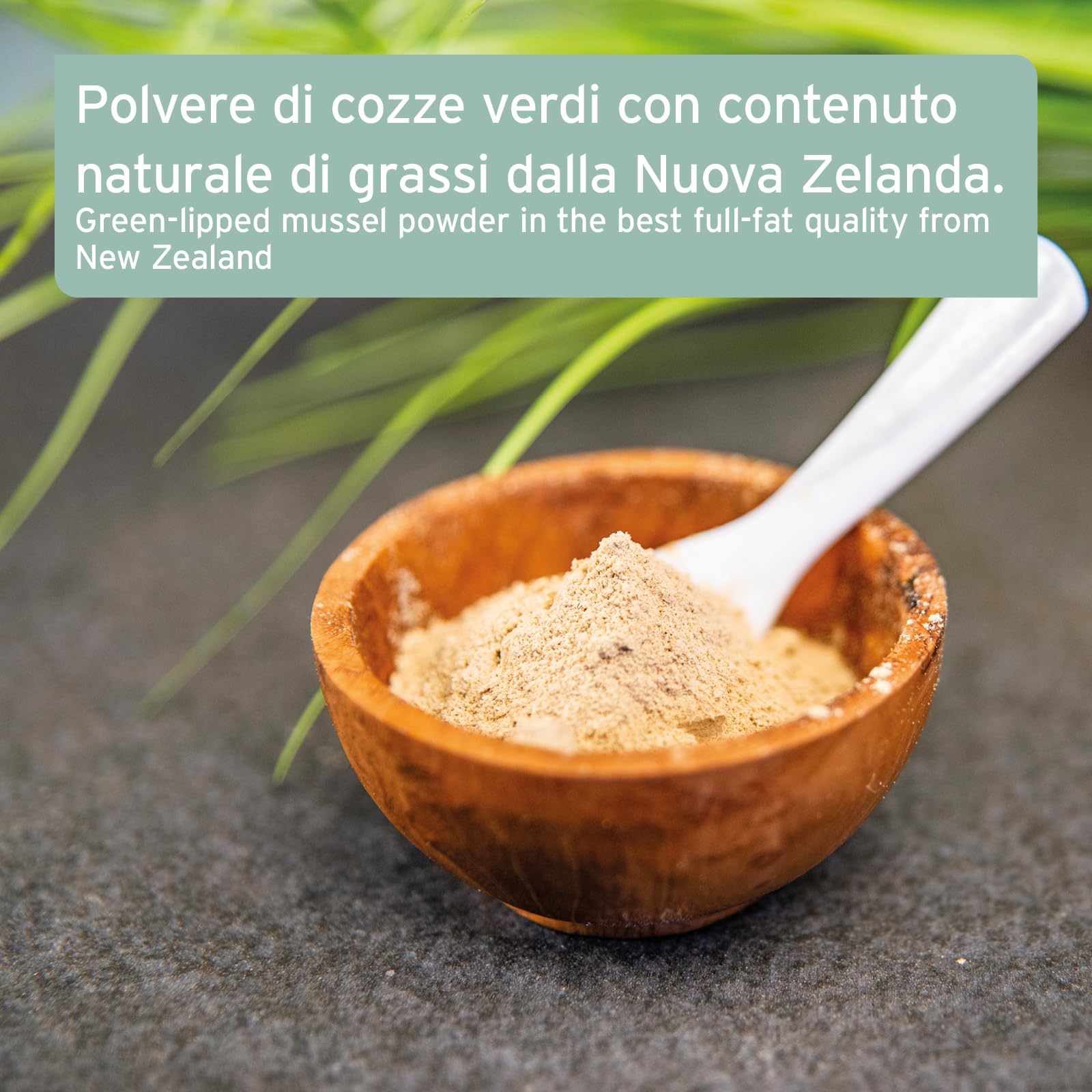 AniForte Polvere di cozze dalle Labbra Verdi per Cani e Gatti 250g – Integratori naturali in qualità di Grasso Completo, glicosaminoglicani, supporta le funzioni articolari