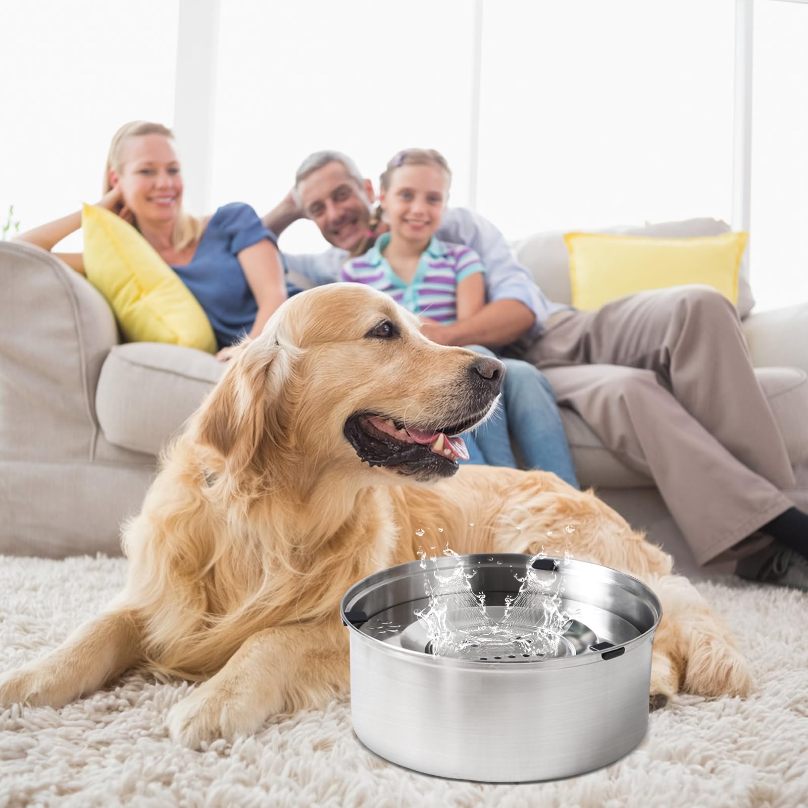 Amexo Gamelle d'eau Anti Éclaboussures pour Chiens, Gamelle d'eau Anti Déversement pour Chien en Acier INOX 304, Bol d'eau Antidérapant pour Animaux de Compagnie (3L)