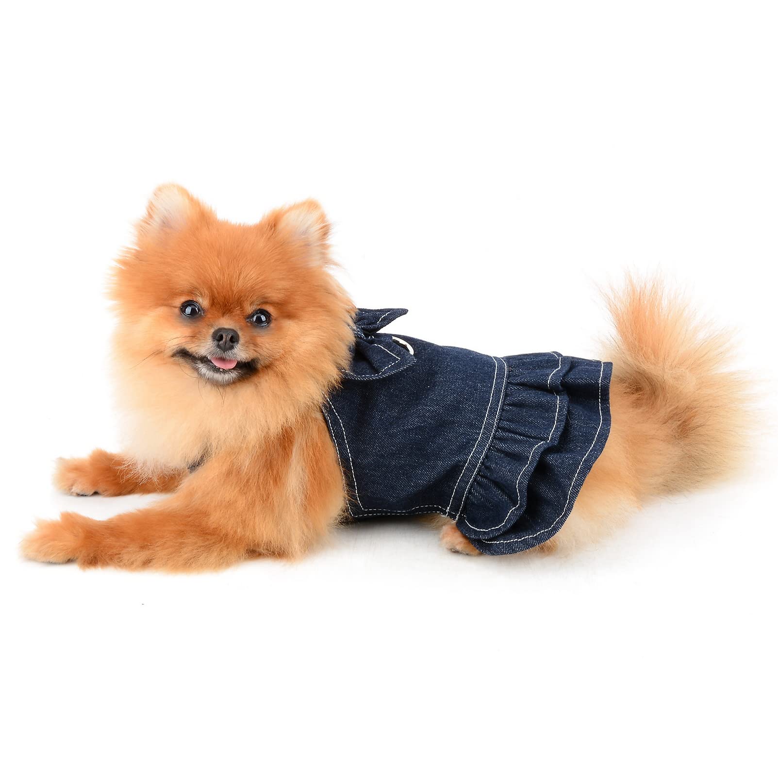 Pomeranian Dog Cross German Shepherd Pomsky Dog German Shepherd Husky  Pomeranian Mix Mix Puppy German, image size:1603x1603