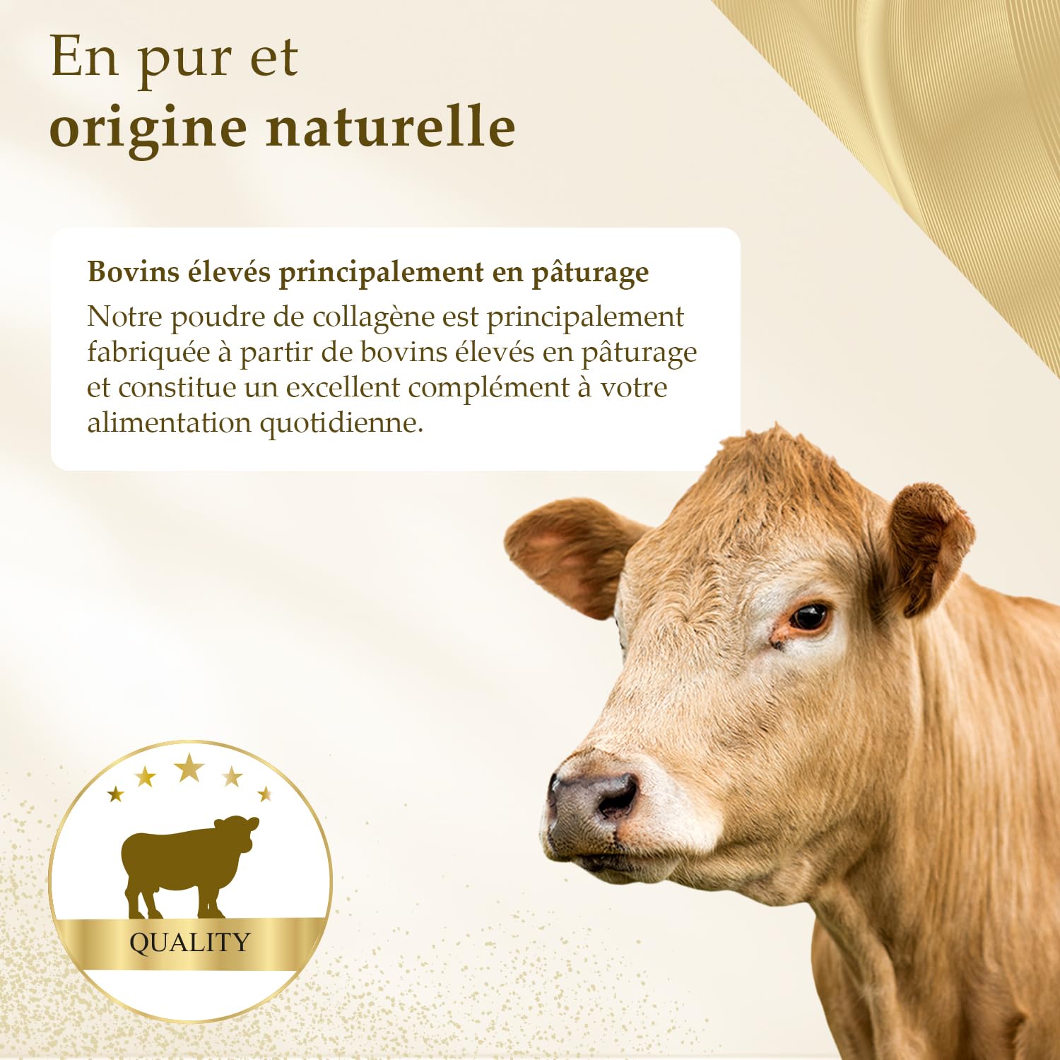 Poudre de Collagène 700 g Hydrolysat de Collagène 100% Pur Peptides de Type 1, 2 et 3, Excellente Solubilité Goût Neutre Formule Pure Qualité Contrôlée
