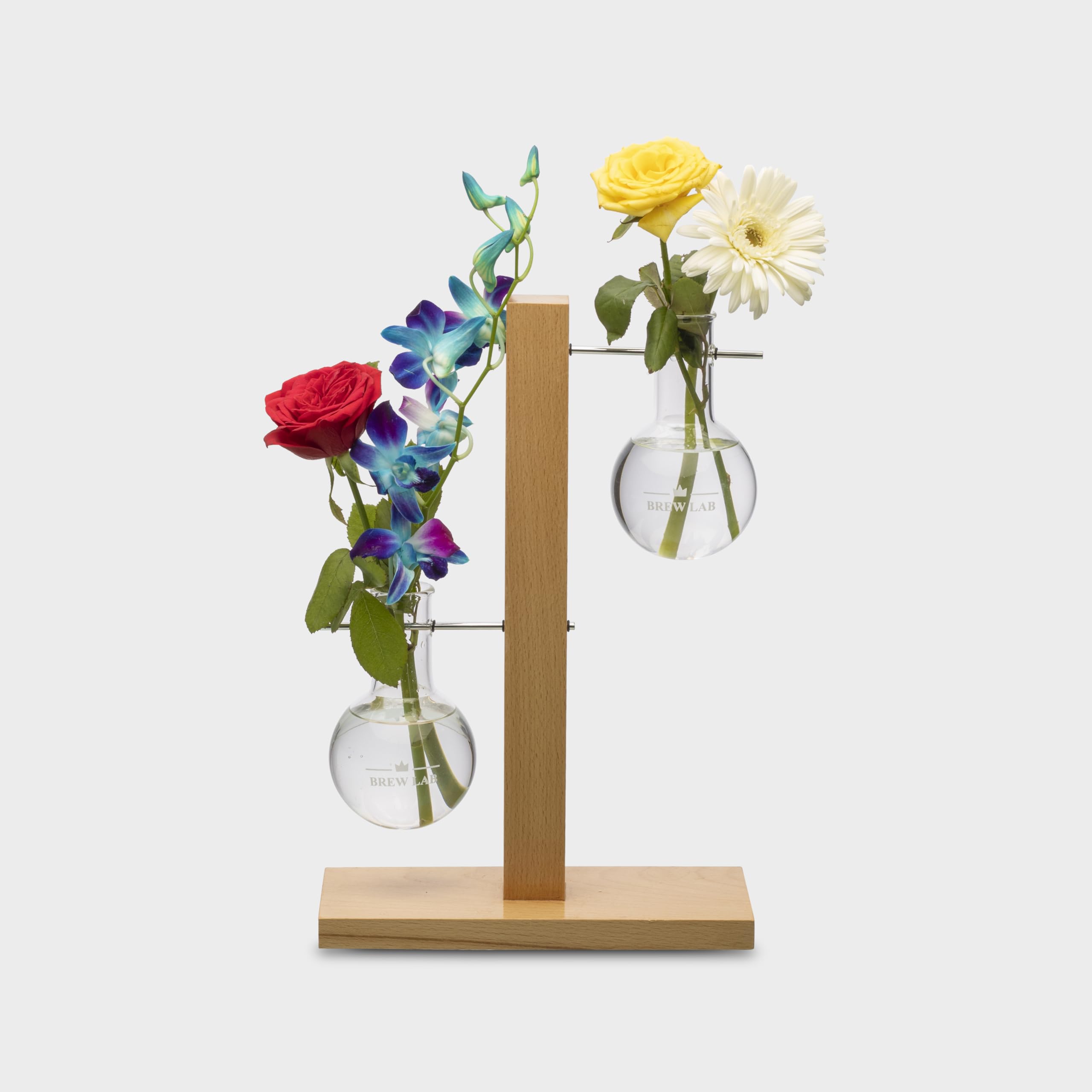 Brew Lab Double Flask Planter with Wooden Stand | Round Test Tube Tabletop Planter for House, Office or Shop Decoration. (Glass Flask - 2, Wooden Stand, Rod and O Rings) (B08WZB5GLY) Amazon Price History, Amazon Price Tracker