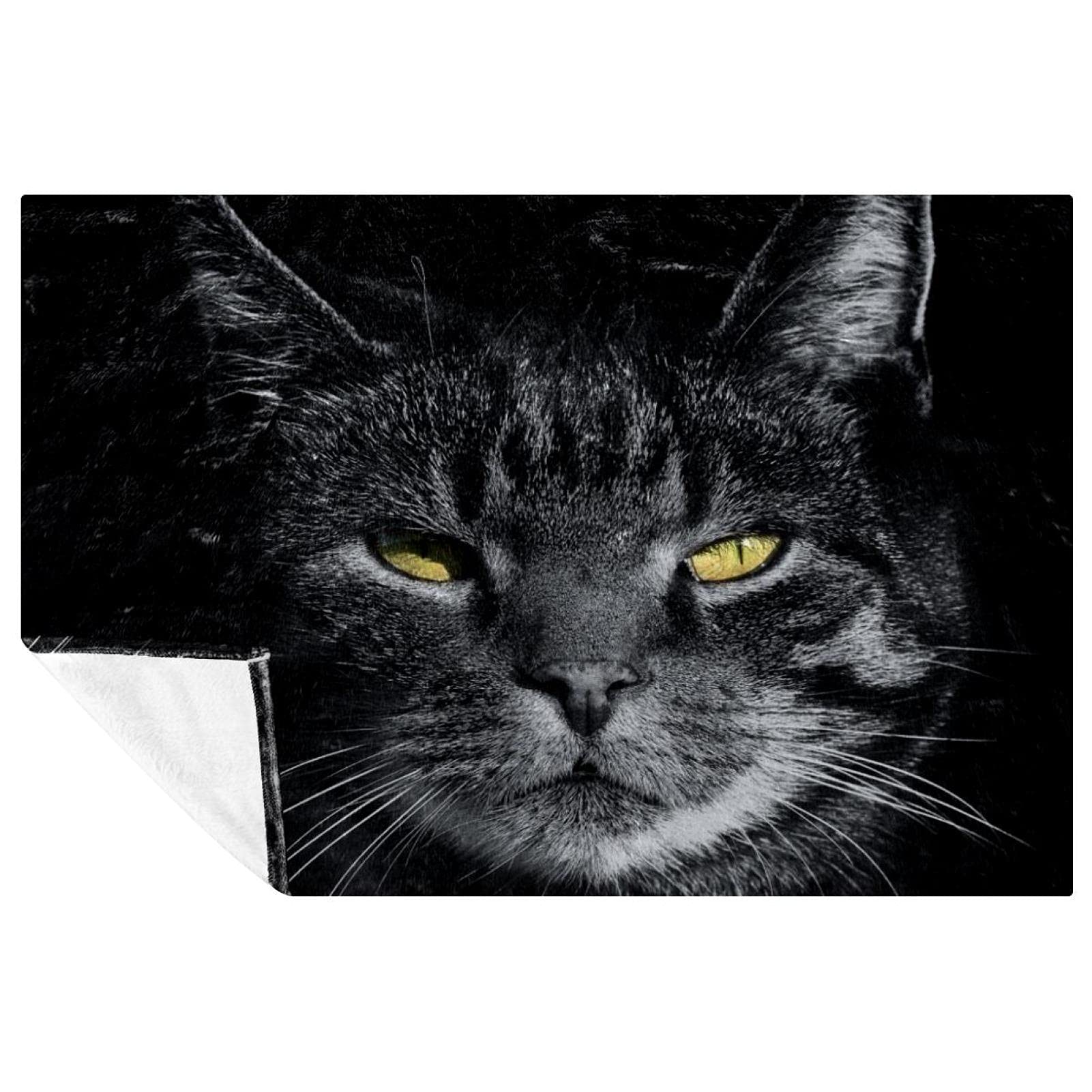 Couverture chat gris chaude et douce pour des soirées tendres en famille