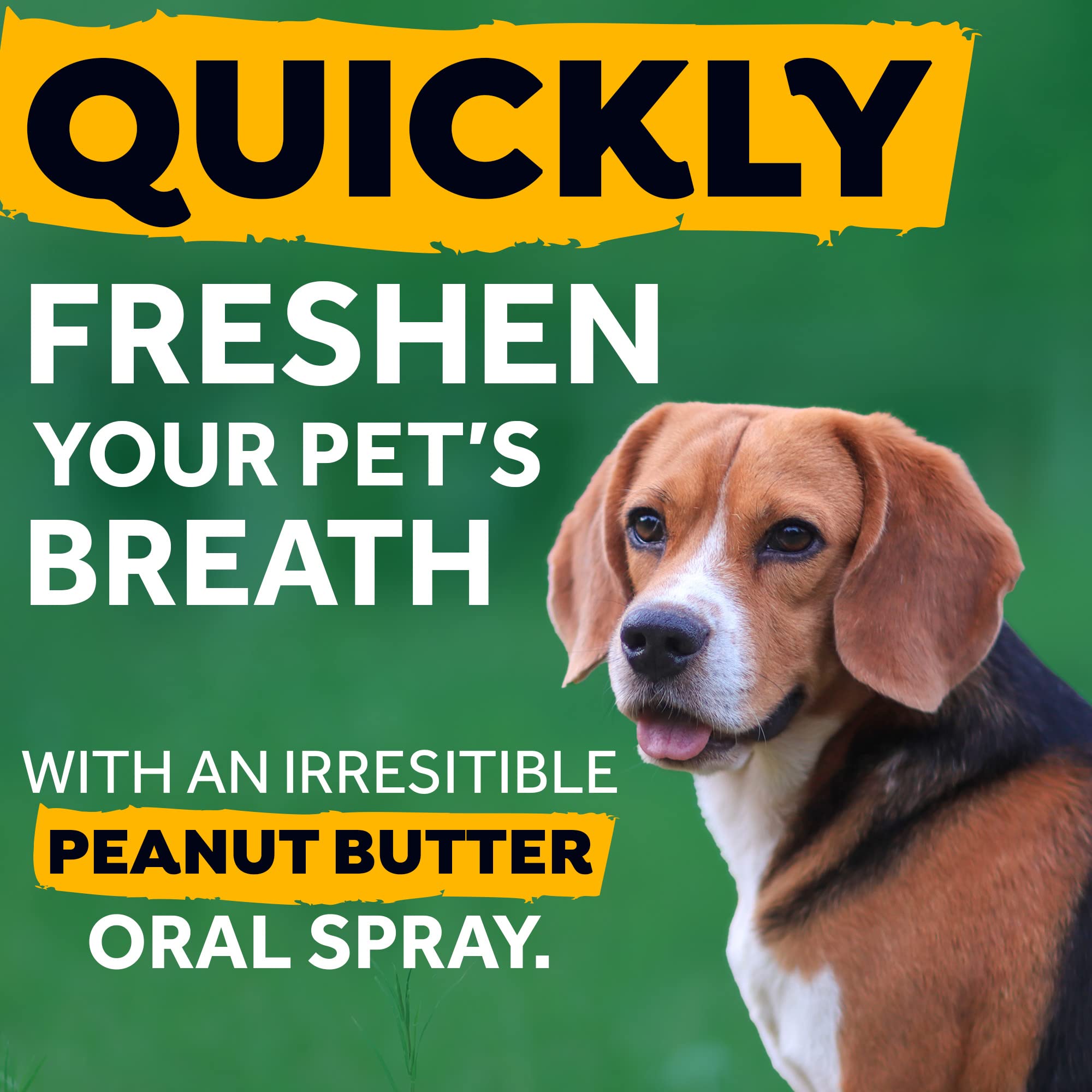 What Is Good For Dog Breath