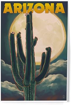 Lantern Press 8x12 Art Print, Arizona Cactus Moon