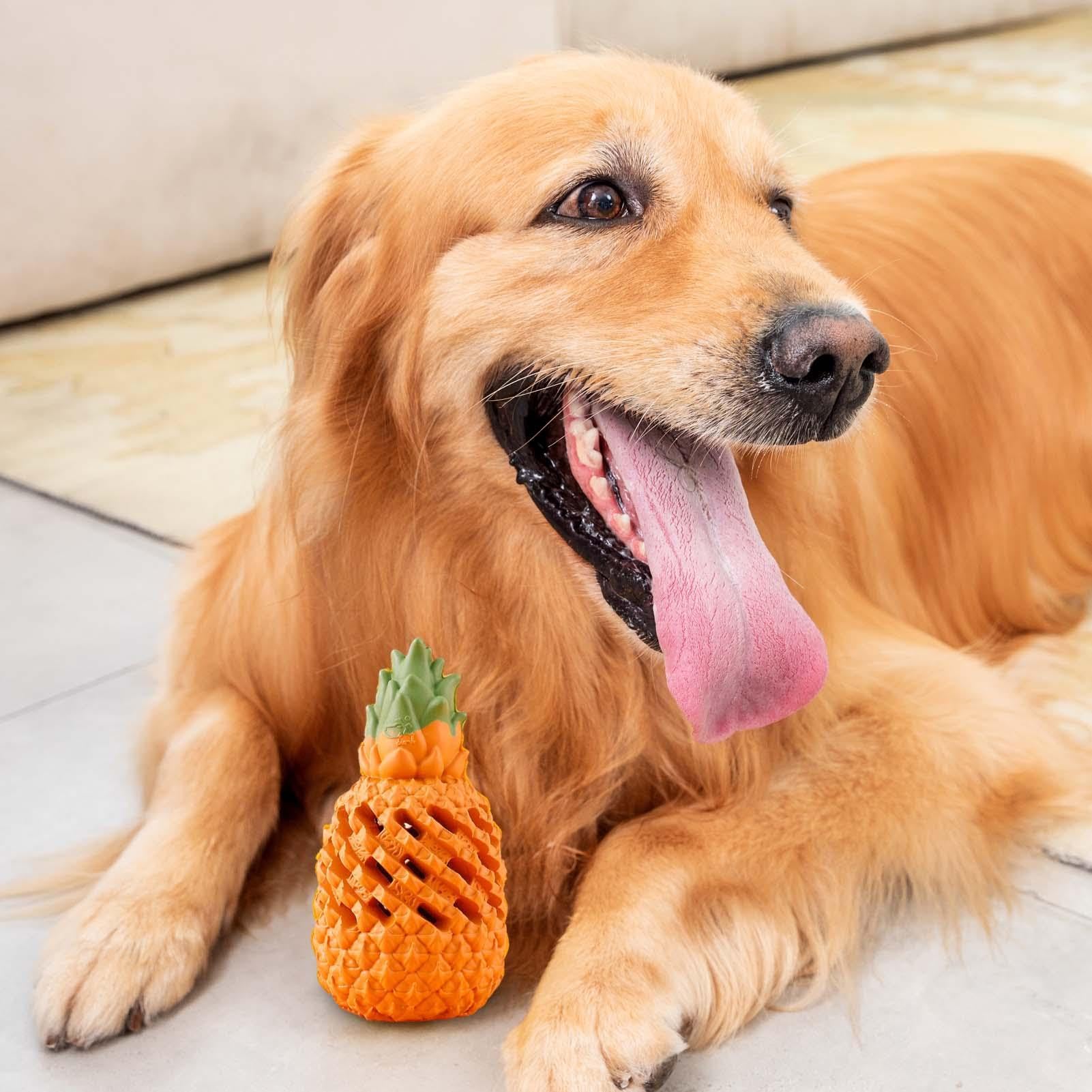 Amazon | パイナップル犬のおもちゃ、小型、中型、大型犬が退屈を